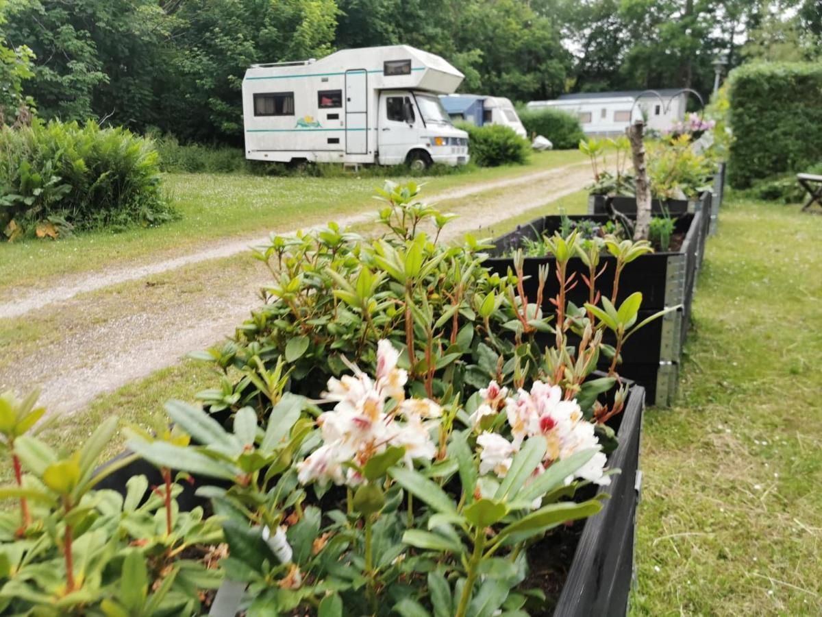 Frederiksvaerk Camping & Hostel Esterno foto