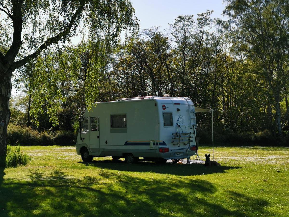 Frederiksvaerk Camping & Hostel Esterno foto